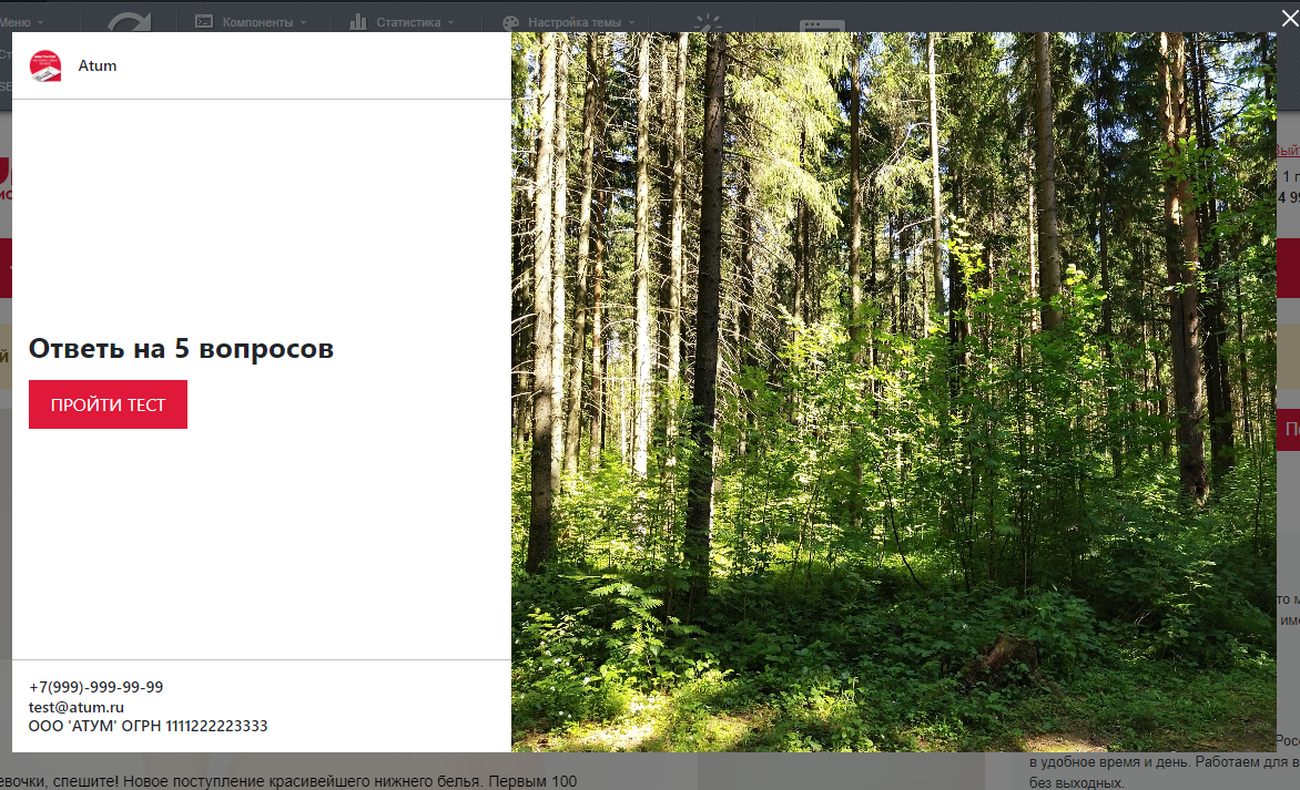 Конструктор маркетинговых квизов-опросников, аналог marquiz по дизайну и функционалу