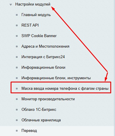 Маска ввода номера телефона с флагом страны