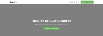 CleanPro