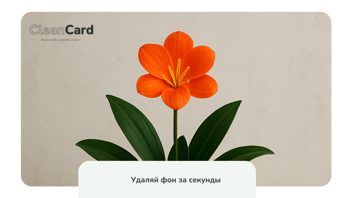 CleanCard — массовое автоудаление фона с изображений
