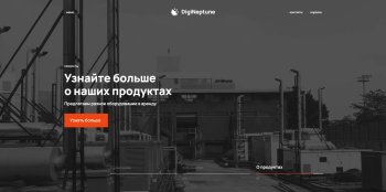 Имиджевый промо-сайт DIGINEPTUNE