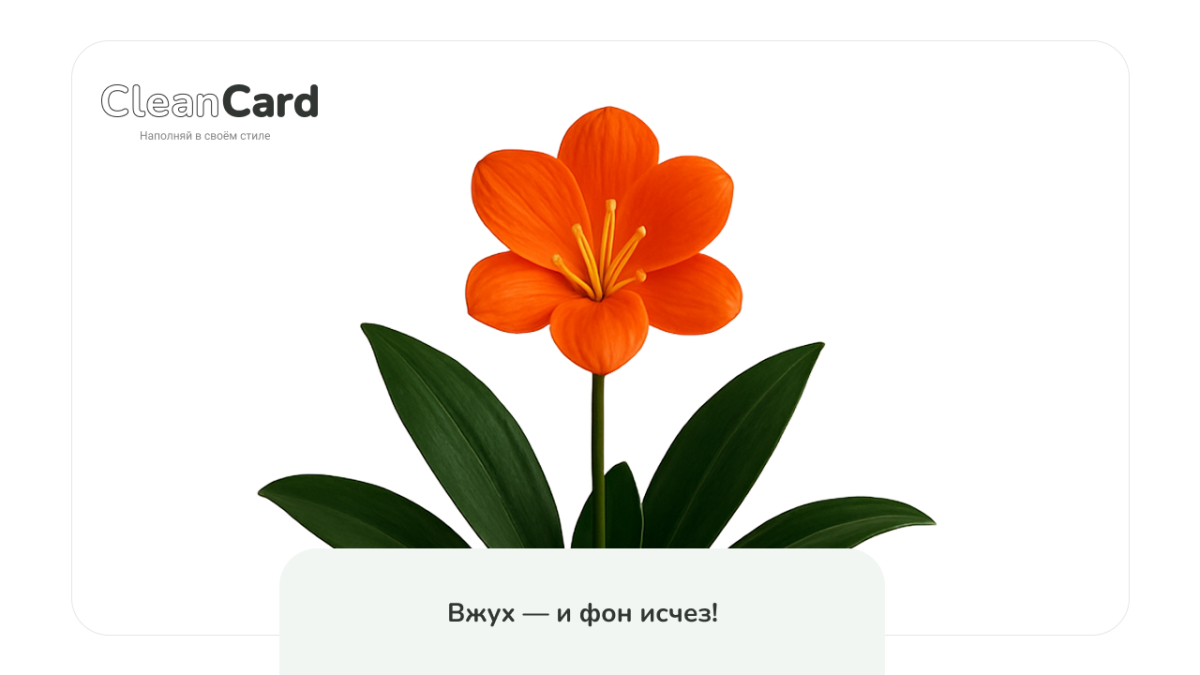 CleanCard — массовое автоудаление фона с изображений